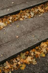 herbstlaub auf dem Gehweg